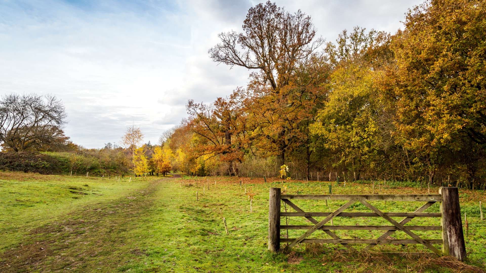Bearsted